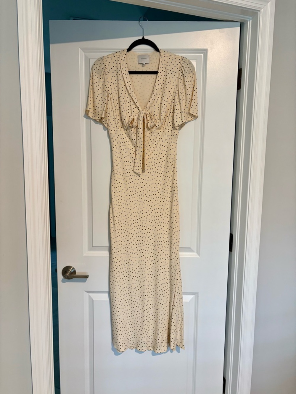 Reformation Cream Maxi Dress with Black Polka Dots-worn once